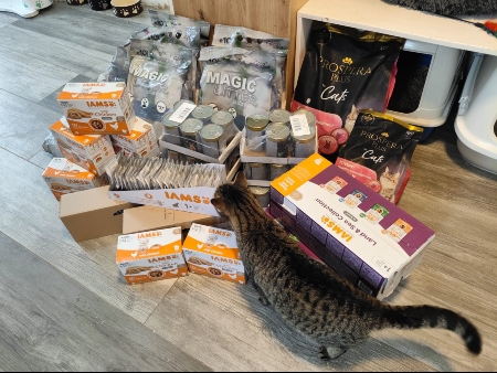 Strašecké depozitum pro kočky z.s.